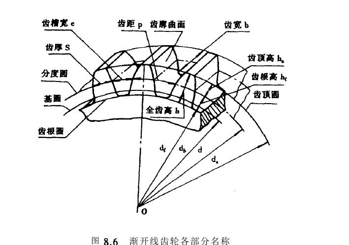 齿轮机构部分名称